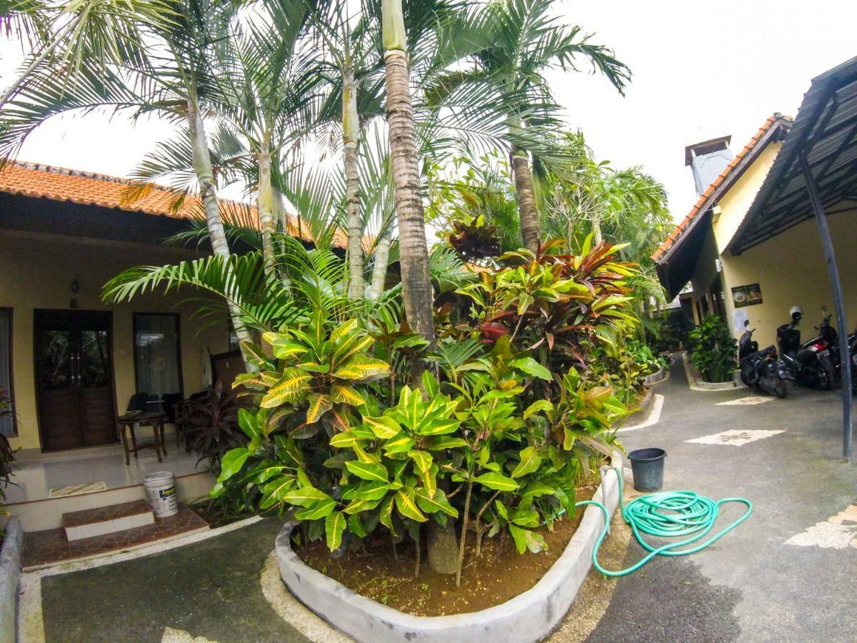 Putu Guest House Canggu Buitenkant foto